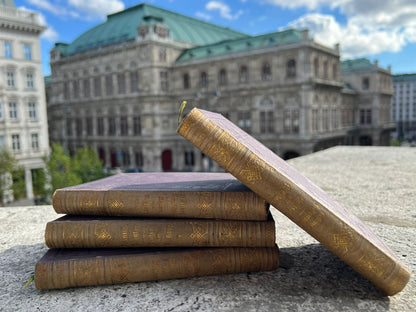 Set of 4 Antique Books – Theodor's Collection