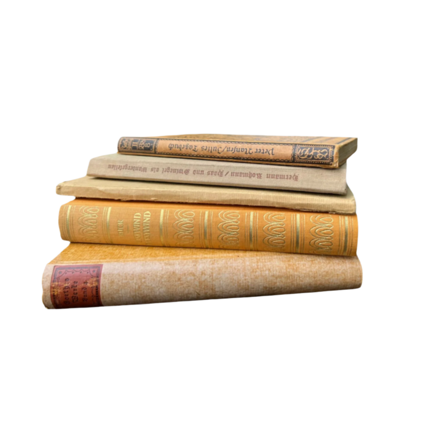 Set of 5 Antique Books – Classic Neutral Tones